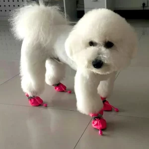 CLOTHING & SHOES
