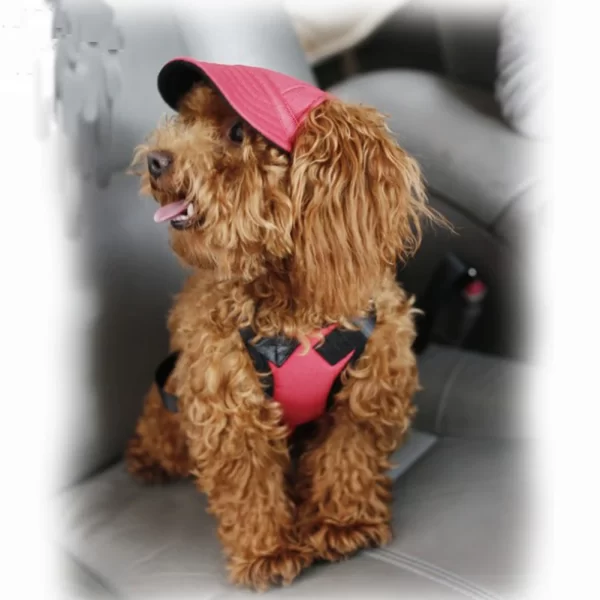 Summer Dog Hat Pet Baseball Cap Outdoor Sunscreen Hats Breathable Sun Hats For Dogs Cat Pet Accessories - Image 4