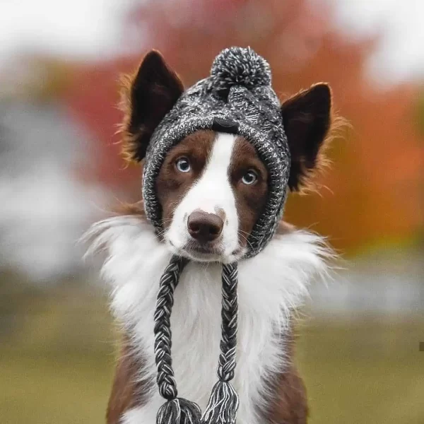 Winter Kitting Gog Hat Pet Headgear Fashion Hair Balls Keep Warm Cat Hat High Quality - Image 3