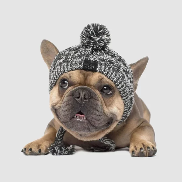 Winter Kitting Gog Hat Pet Headgear Fashion Hair Balls Keep Warm Cat Hat High Quality - Image 5