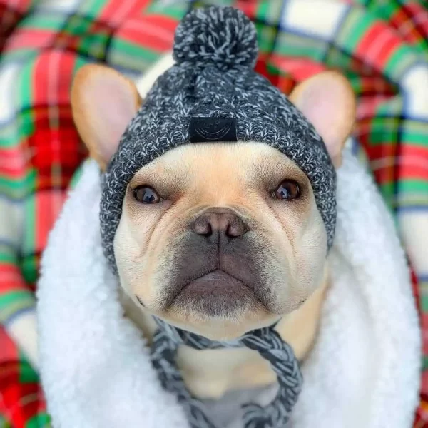 Winter Kitting Gog Hat Pet Headgear Fashion Hair Balls Keep Warm Cat Hat High Quality - Image 6