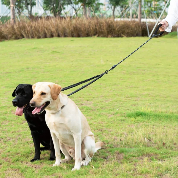 WALK 2 Two DOGS Leash COUPLER Double Twin Lead Walking Dog Leashes - Image 6