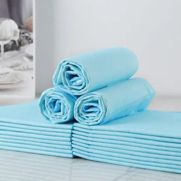 Absorbent Pet Diaper Dog Training Pee Pads Disposable Healthy Nappy Mat for Cats Dog Diapers Quick-dry Surface Mat Dog Supplies - Image 4