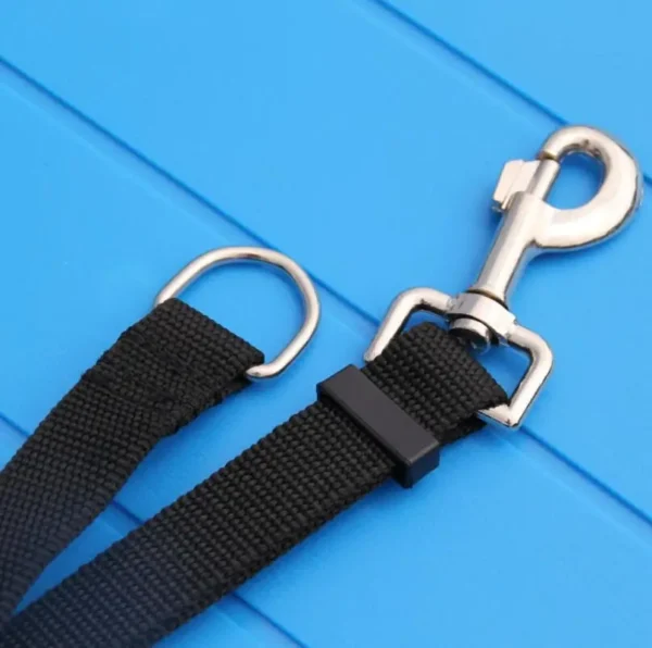 Pet Dog Lead Leash for Dogs Cats Nylon Walk Dog Leash Selected Size 1.5M 1.8M 3M 6M 10M Outdoor Security Training Dog Harness - Image 3