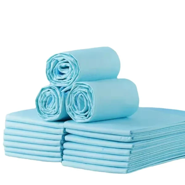 Absorbent Pet Diaper Dog Training Pee Pads Disposable Healthy Nappy Mat for Cats Dog Diapers Quick-dry Surface Mat Dog Supplies - Image 2
